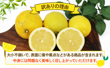 檸檬 訳あり レモン 5kg 杉本屋 先行予約 檸檬 B010-143012