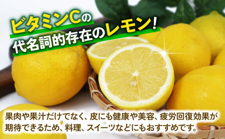 檸檬 訳あり レモン 5kg 杉本屋 先行予約 檸檬 B010-143012