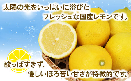 檸檬 訳あり レモン 5kg 杉本屋 先行予約 檸檬 B010-143012