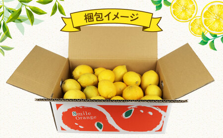 檸檬 訳あり レモン 5kg 杉本屋 先行予約 檸檬 B010-143012