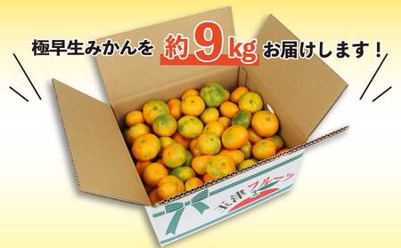 訳あり 極早生みかん 9kg 河野農園 温州みかん 温州 B010-147002