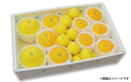 【柑橘】特選みかん詰合せ3kgフレッシュつちやま柑橘B010-096028