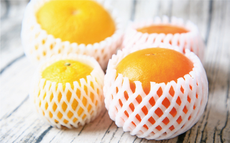 【柑橘】特選みかん詰合せ3kgフレッシュつちやま柑橘B010-096028