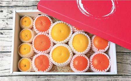 【柑橘】特選みかん詰合せ3kgフレッシュつちやま柑橘B010-096028