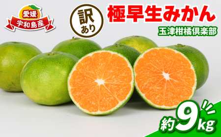 【ご家庭用】訳あり極早生みかん9kg玉津柑橘倶楽部|みかん(B010-072029)