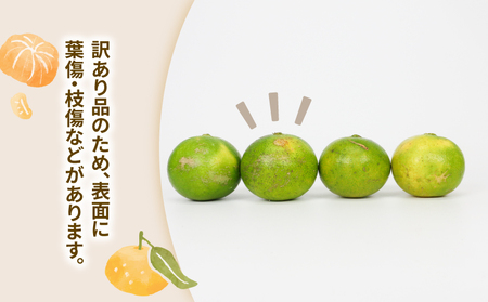 【ご家庭用】訳あり極早生みかん9kg玉津柑橘倶楽部|みかん(B010-072029)