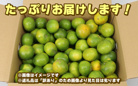 【ご家庭用】訳あり極早生みかん9kg玉津柑橘倶楽部|みかん(B010-072029)