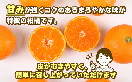 蜜柑 訳あり 小玉 温州みかん 南柑20号 10kg 玉津柑橘倶楽部 温州 みかん 小玉みかん 中生 甘い 果物 くだもの フルーツ 柑橘 mikan 愛媛蜜柑 愛媛みかん 愛媛ミカン ミカン わけあり サイズ 不揃い 産地直送 数量限定 国産 愛媛 宇和島 B010-072031