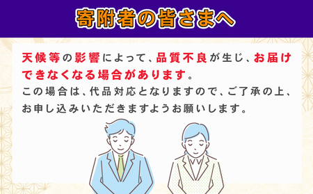 蜜柑 訳あり 小玉 温州みかん 南柑20号 10kg 玉津柑橘倶楽部 温州 みかん 小玉みかん 中生 甘い 果物 くだもの フルーツ 柑橘 mikan 愛媛蜜柑 愛媛みかん 愛媛ミカン ミカン わけあり サイズ 不揃い 産地直送 数量限定 国産 愛媛 宇和島 B010-072031