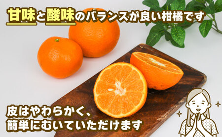 【ご家庭用】訳ありいよかん8kgみかん玉津柑橘倶楽部みかん│B010-072032