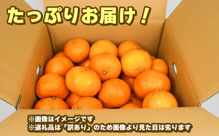 【ご家庭用】訳ありいよかん8kgみかん玉津柑橘倶楽部みかん│B010-072032
