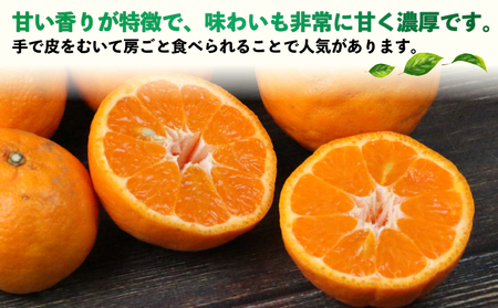 訳あり ポンカン 10kg 河野農園 わけあり みかん 蜜柑 mikan 愛媛みかん 愛媛ミカン 愛媛蜜柑 宇和島みかん ぽんかん 甘い 濃厚 人気 品種 果物 くだもの フルーツ おすすめ 訳アリ 訳あり品 柑橘 農家直送 産地直送 数量限定 先行予約 国産 愛媛 宇和島 B010-147005