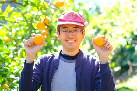 訳あり ポンカン 10kg 河野農園 わけあり みかん 蜜柑 mikan 愛媛みかん 愛媛ミカン 愛媛蜜柑 宇和島みかん ぽんかん 甘い 濃厚 人気 品種 果物 くだもの フルーツ おすすめ 訳アリ 訳あり品 柑橘 農家直送 産地直送 数量限定 先行予約 国産 愛媛 宇和島 B010-147005