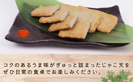 練り物 じゃこ天 24枚 大山かまぼこ店 練り物 C010-007002