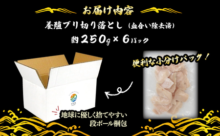 ブリ 訳あり 鰤 ぶり 切り落とし 計約 1.5kg （ 250g × 6 パック ） 南予ビージョイ 訳あり わけあり 鰤 ブリ ぶり buri 養殖 刺身 お刺身 漬け丼 茶漬け 鰤しゃぶ ぶりしゃぶ 冷凍 小分け 流水解凍 鮮魚 人気返礼品 大容量 国産 愛媛 宇和島 D015-150007