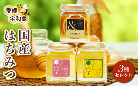 国産蜂蜜 3種類セット(非加熱)国産蜂蜜 宇和島農産 F012-132003