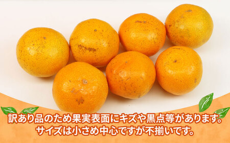 訳あり 小玉 みかん 9kg サイズ 不揃い 植村農園 小玉 B010-153010