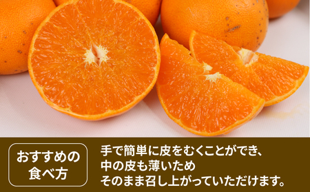 訳あり せとか 5kg マル南フルーツ 柑橘の大トロ 高級 ブランド 希少 品種 mikan 愛媛みかん 愛媛蜜柑 愛媛ミカン 宇和島みかん 高級みかん 人気みかん みかん 訳アリ 訳あり品 果物 くだもの フルーツ 柑橘 蜜柑 産地直送 数量限定 国産 愛媛 宇和島 B012-106023