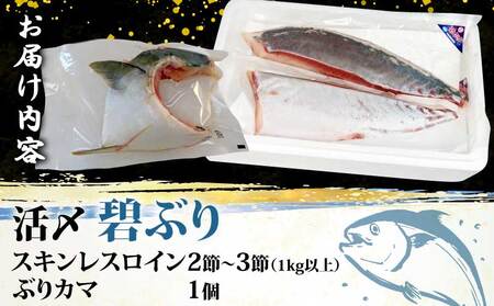 【碧鰤】ブリ1kg以上南予ビージョイブリ│D021-150009