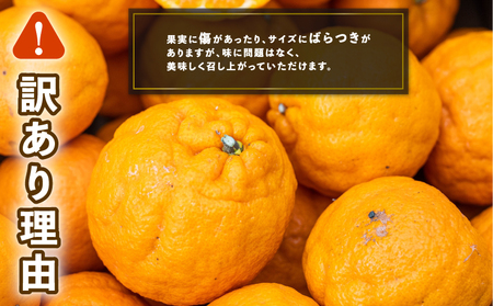 訳あり ポンカン 9kg コルレオファーム ポンカン B012-145010