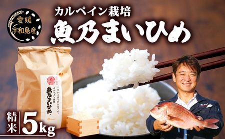 令和7年産 コシヒカリ 魚乃まいひめ カルペイン栽培 5kg 精米 秀長水産 コシヒカリ G018-016007