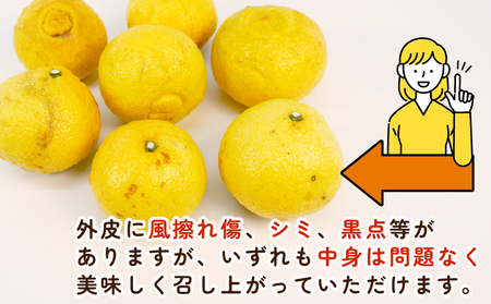 訳あり はるか みかん 約5.5kg ふるくとファーム かなこちゃん はるか B010-037007