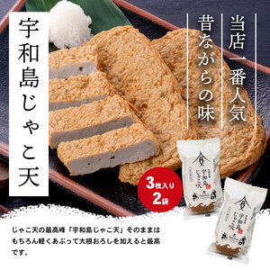 じゃこ天 3枚×2袋 じゃこカツ 3枚×1袋 安岡蒲鉾店 カツ C010-020008