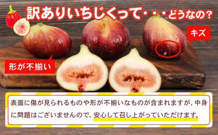 訳あり いちじく 1 ～ 1.2kg 南予ファーム 先行予約 訳有り イチジク わけあり 無花果 果物 くだもの フルーツ 果実 プチプチ 食感 甘い お菓子 スイーツ 作り ジャム スムージー デザート おすすめ 美容 健康 食物繊維 冷蔵 国産 愛媛 宇和島 F010-082009