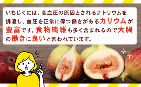 訳あり いちじく 1 ～ 1.2kg 南予ファーム 先行予約 訳有り イチジク わけあり 無花果 果物 くだもの フルーツ 果実 プチプチ 食感 甘い お菓子 スイーツ 作り ジャム スムージー デザート おすすめ 美容 健康 食物繊維 冷蔵 国産 愛媛 宇和島 F010-082009