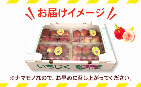 訳あり いちじく 1 ～ 1.2kg 南予ファーム 先行予約 訳有り イチジク わけあり 無花果 果物 くだもの フルーツ 果実 プチプチ 食感 甘い お菓子 スイーツ 作り ジャム スムージー デザート おすすめ 美容 健康 食物繊維 冷蔵 国産 愛媛 宇和島 F010-082009