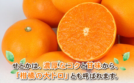 せとか 4kg Shirai.agrifarm せとか B020-115006