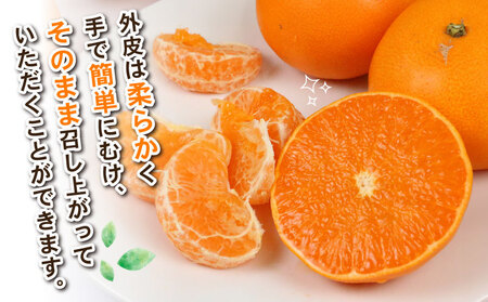 せとか 4kg Shirai.agrifarm せとか B020-115006