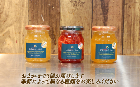マーマレード セット 130g × 3個 Citrus-Line ジャム 食べ比べ 果物 くだもの フルーツ 手づくり 金賞 柑橘 みかん 蜜柑 パン ヨーグルト 贈答 プレゼント ギフト 数量限定 国産 愛媛 宇和島 J014-098002