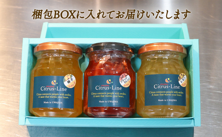 マーマレード セット 130g × 3個 Citrus-Line ジャム 食べ比べ 果物 くだもの フルーツ 手づくり 金賞 柑橘 みかん 蜜柑 パン ヨーグルト 贈答 プレゼント ギフト 数量限定 国産 愛媛 宇和島 J014-098002