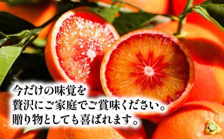 贈答用 ブラッドオレンジ モロ タロッコ 3kg YAMAUCHI FARM オレンジ B010-084004