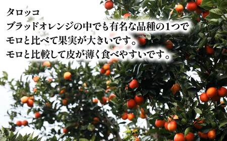 贈答用 ブラッドオレンジ モロ タロッコ 3kg YAMAUCHI FARM オレンジ B010-084004