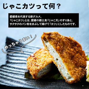じゃこカツ 9枚 3枚×3袋 安岡蒲鉾店 じゃこカツ C012-020009