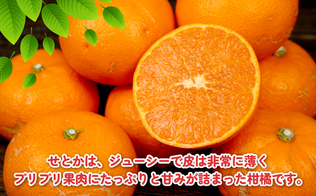 訳あり せとか 約4kg 杉本屋 せとか B010-143016