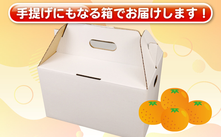 訳あり せとか 約4kg 杉本屋 せとか B010-143016