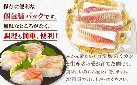 【真鯛】みかん愛たいスキンレスロイン3～4柵 600g 以上南予ビージョイ真鯛|D014-150012