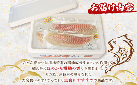 【真鯛】みかん愛たいスキンレスロイン3～4柵 600g 以上南予ビージョイ真鯛|D014-150012