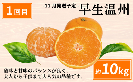 えひめの旬の柑橘 産地直送 4回 定期便 JA  定期便 B080-009011