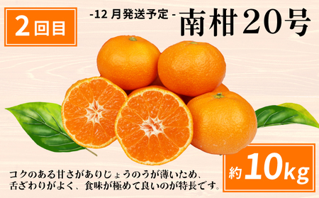 えひめの旬の柑橘 産地直送 4回 定期便 JA  定期便 B080-009011