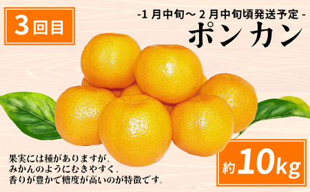 えひめの旬の柑橘 産地直送 4回 定期便 JA  定期便 B080-009011