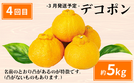 えひめの旬の柑橘 産地直送 4回 定期便 JA  定期便 B080-009011