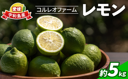 レモン 5kg コルレオファーム 国産 防腐剤ワックス不使用 レモン B016-145014