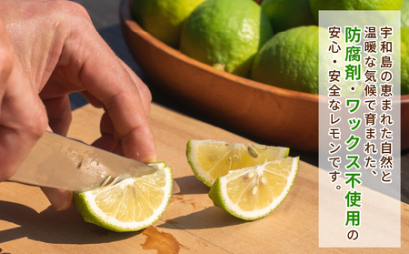 レモン 5kg コルレオファーム 国産 防腐剤ワックス不使用 レモン B016-145014