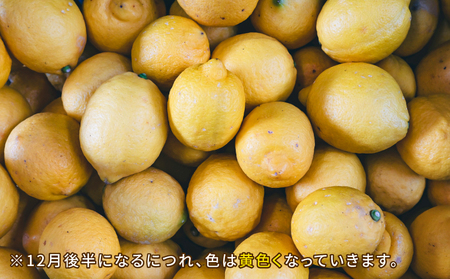 レモン 5kg コルレオファーム 国産 防腐剤ワックス不使用 レモン B016-145014