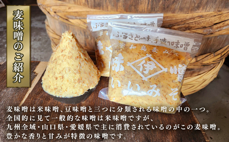 【マツコの知らない世界で紹介！】 麦みそ 計12kg 3回定期便 麦みそ 井伊商店 J029-108003