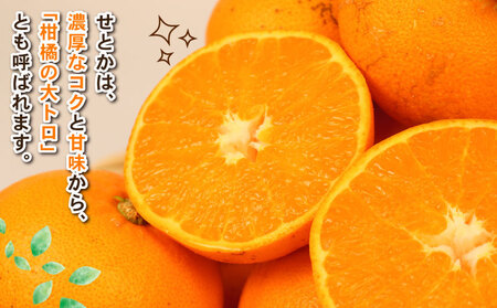 せとか 訳あり 4.5kg せとか Shirai.agrifarm B015-115008